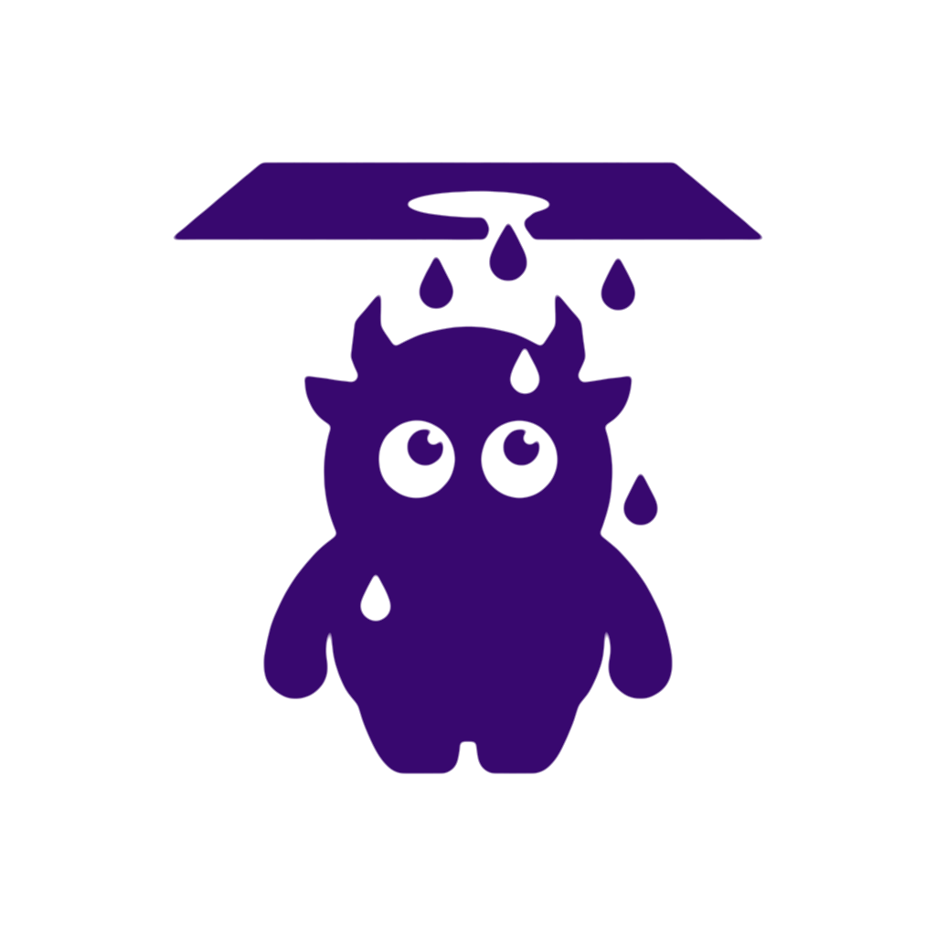 Roof Leak